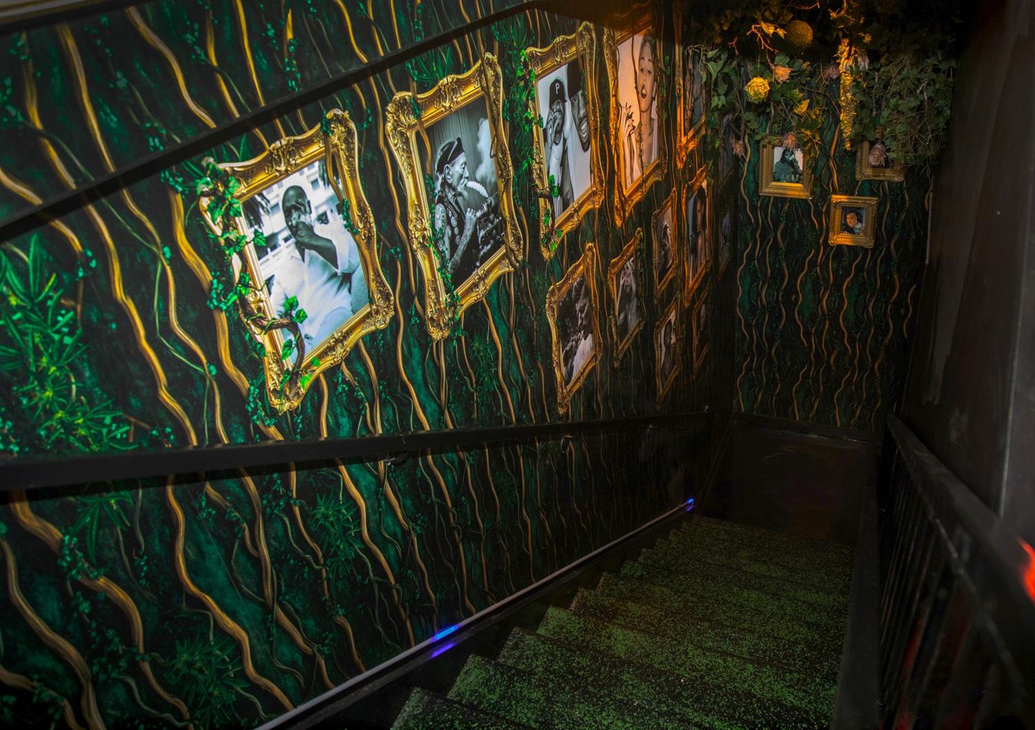 Stairwell wrapped in vine wallpaper with gold-framed black-and-white prints